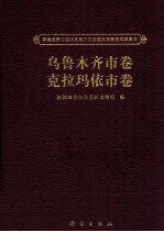 新疆维吾尔自治区第三次全国文物普查成果集成 乌鲁木齐市卷、克拉玛依市卷
