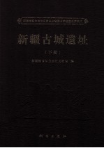 新疆古城遗址 下