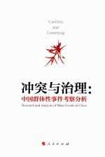 冲突与治理 中国群体性事件考察分析