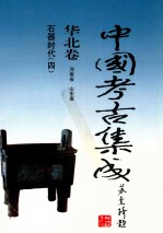 中国考古集成 华北卷 河南省 山东省 石器时代 4