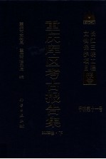 重庆库区考古报告集 2002卷 下