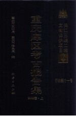 重庆库区考古报告集 2002卷 上