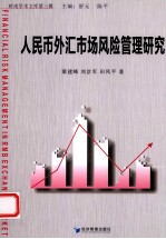 人民币外汇市场风险管理研究
