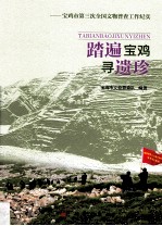 踏遍宝鸡寻遗珍 宝鸡市第三次全国文物普查工作纪实