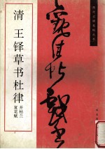 清 王铎草书杜律 并枯兰复花赋