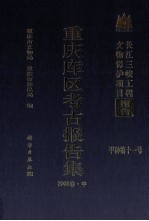 重庆库区考古报告集 2002卷 中