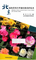 北京绿化常用月季栽培和养护技术