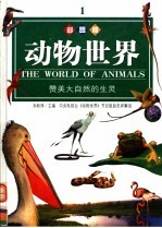 动物世界 赞美大自然的生灵 彩图版