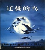 迁徙的鸟 摄影集