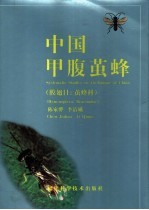 中国甲腹茧蜂 膜翅目:茧蜂科