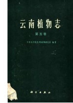 云南植物志 第5卷 种子植物