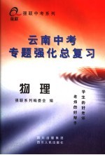 云南中考专题强化总复习 物理