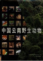 中国云南野生动物