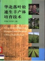 华北落叶松速生丰产林培育技术
