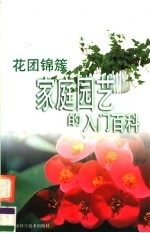 花团锦簇 家庭园艺的入门百科