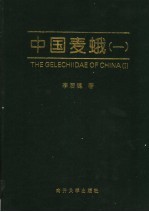 中国麦蛾 1