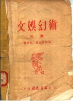 文娱幻术 第6集