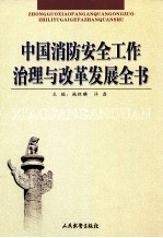 中国消防安全工作治理与改革发展全书 3