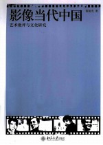 影像当代中国 艺术批评与文化研究