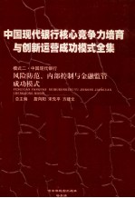 中国现代银行核心竞争力培育与创新运营成功模式全集 模式二 中国现代银行风险防范、内部控制与金融监管成功模式 第4册