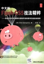 中文版Flash CS5技法精粹 在规定时间和预算内高效开发创意项目的实战指南