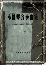 小提琴齐奏曲集 手风琴伴奏