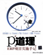 P道理 ERP项目实施手记