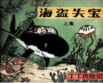 丁丁历险记 海盗失宝