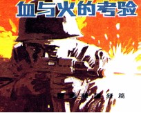 精忠报国新篇 血与火的考验