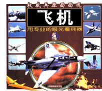 权威武器面面观 飞机