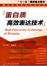 蛋白质高效表达技术