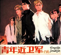 青年近卫军 下