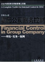 集团公司财务控制 理论·实务·案例