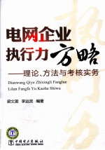 电网企业执行力方略 理论、方法与考核实务