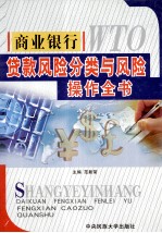 商业银行货款风险分类与风险操作全书 上