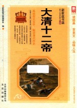 大清十二帝 新