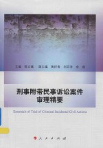刑事附带民事诉讼案件审理精要