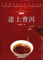 迷上普洱 钻石版