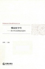 懂法好少年 青少年法律知识读本