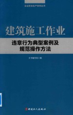 建筑施工作业违章行为典型案例及规范操作方法
