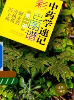 中药学速记彩色图谱 第1册