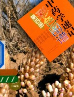 中药学速记彩色图谱 第4册