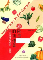 庭院里的西洋菜 中国的外来植物 蔬菜