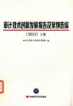 审计技术创新发展报告及案例选编 2013 下