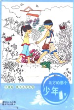 王勇英成长小说系列 北方的那个少年