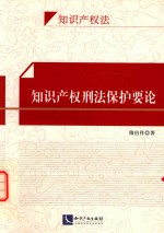 知识产权刑法保护要论