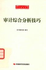 审计综合分析技巧