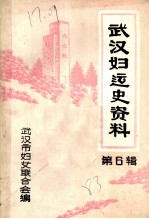 武汉妇运史资料 第6辑