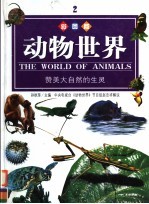 动物世界 赞美大自然的生灵