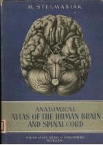 ANATOMICAL ATLAS OF THE HUMAN BRAIN AND SPINAL CORD